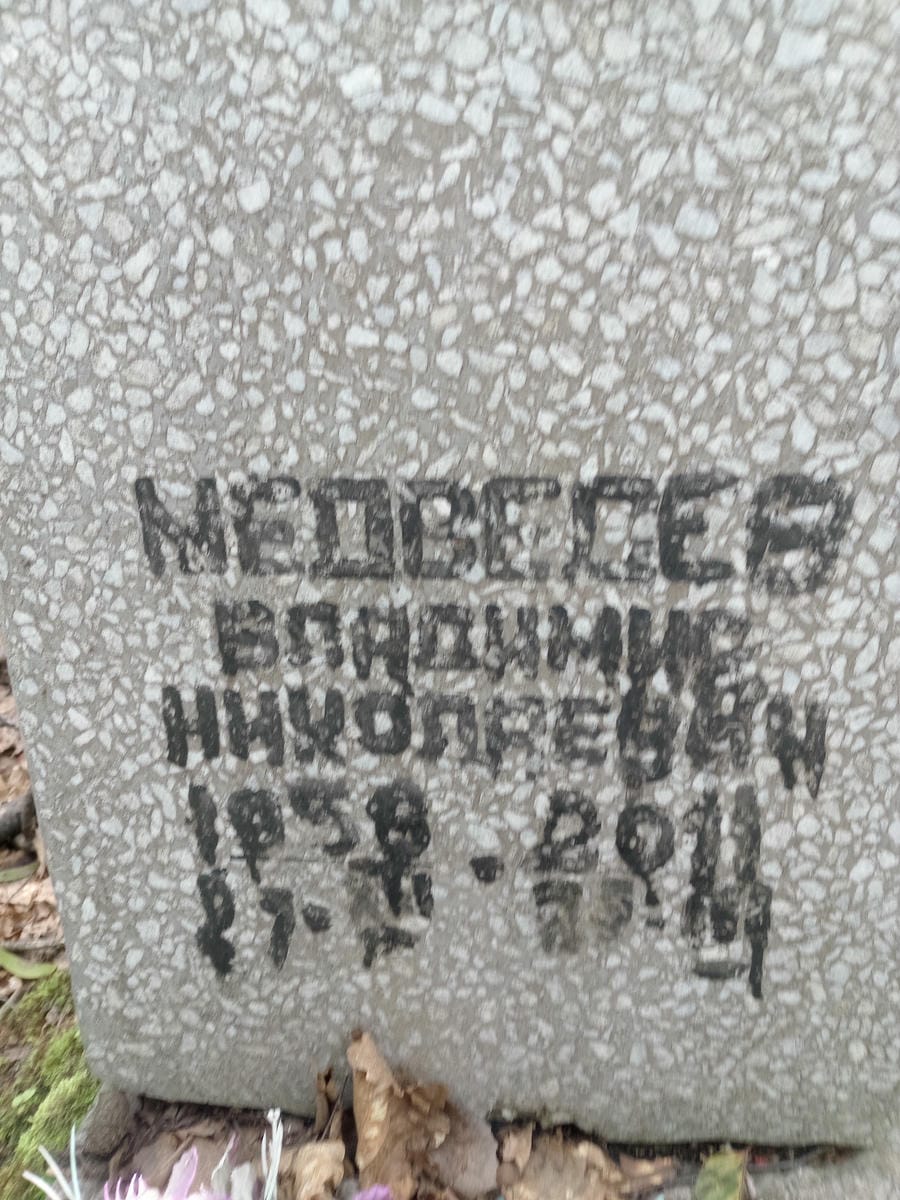 ef32c929-b209-4ea8-8504-e923ac10d176 Медведев Владимир Николаевич