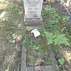 Белоногов Александр Георгиевич