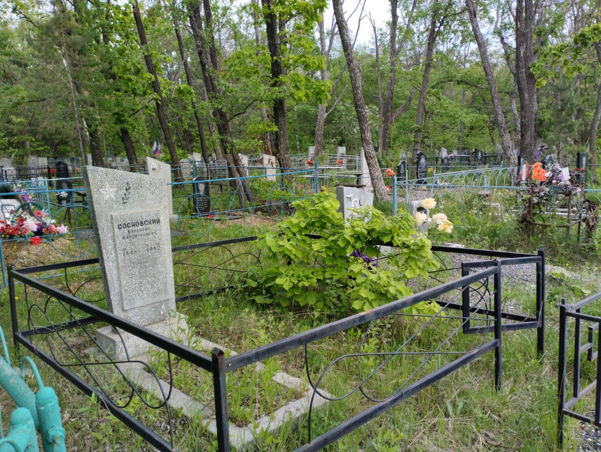 f0aa66ab-6909-48b8-9c12-3e4538803607 Сосновский Валентин Валентинович