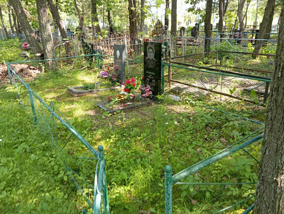 f1268881-a42a-470e-a557-ae6a5812beb1 Медведев Михаил Семенович