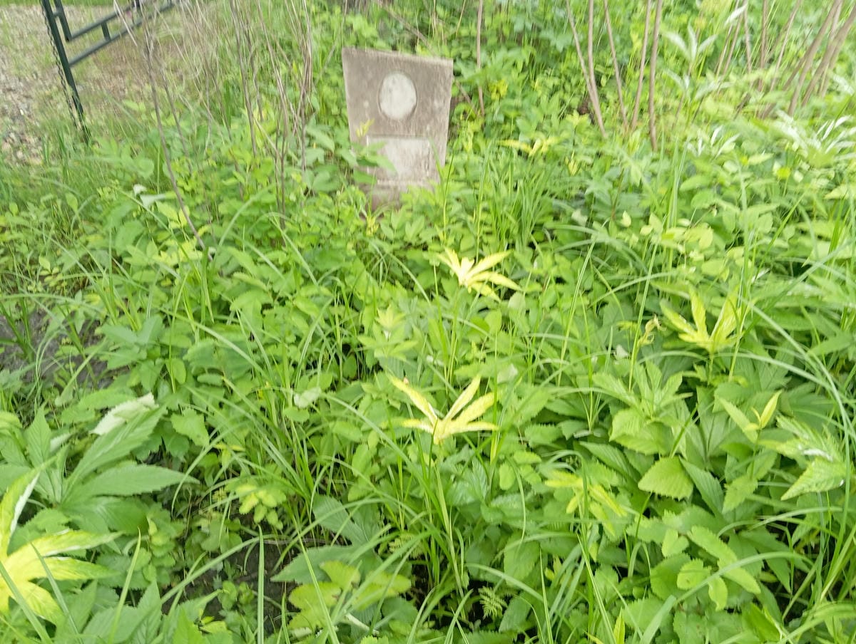 Неизвестно Неизвестно Неизвестно