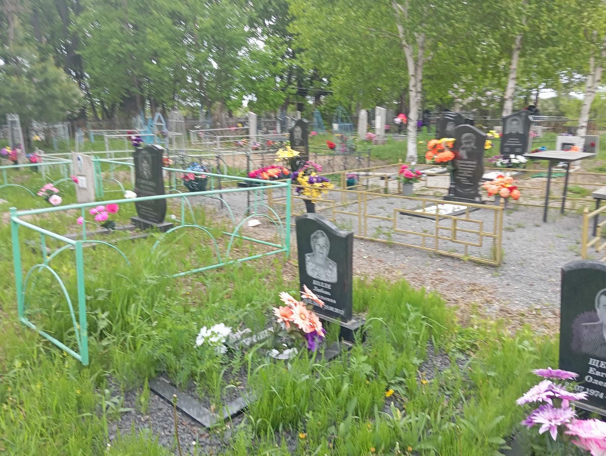 Колле Любовь Васильевна