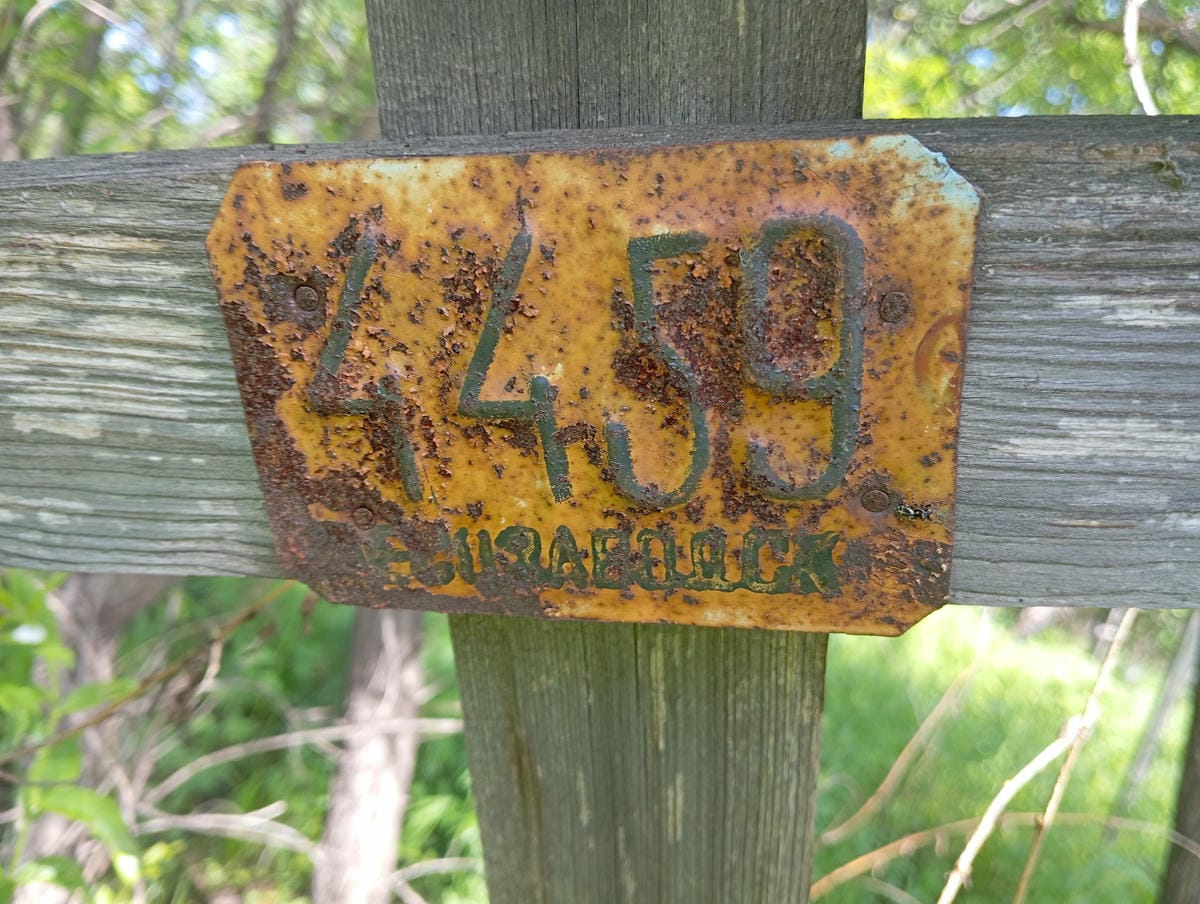 Неизвестно Неизвестно Неизвестно