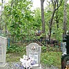 Гринцевич Анна Онуфриевна
