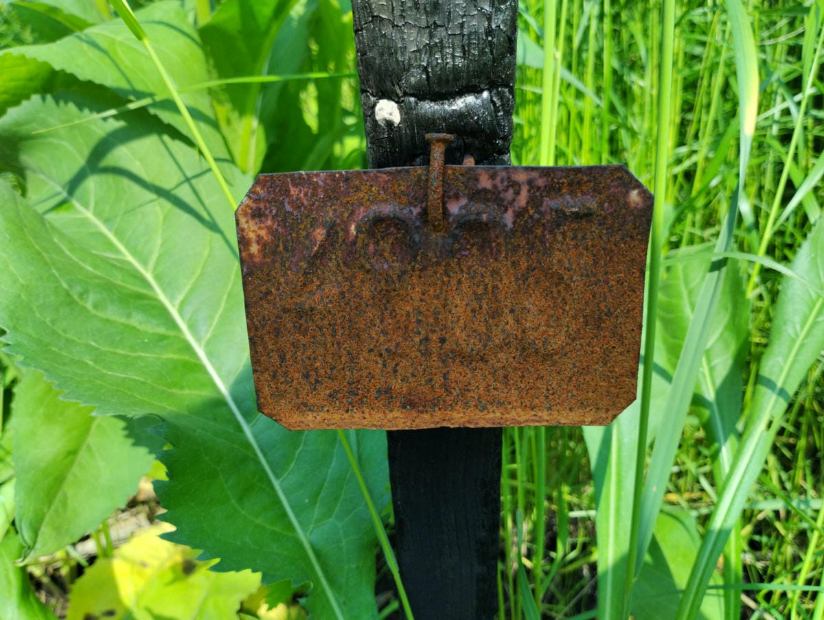 Неизвестно Неизвестно Неизвестно