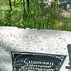 Сиволап Дмитрий Васильевич