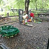Анисимова Татьяна Демьяновна