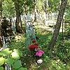 Личенко Елена Ефимовна