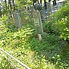 Гнитецкая Александра Петровна