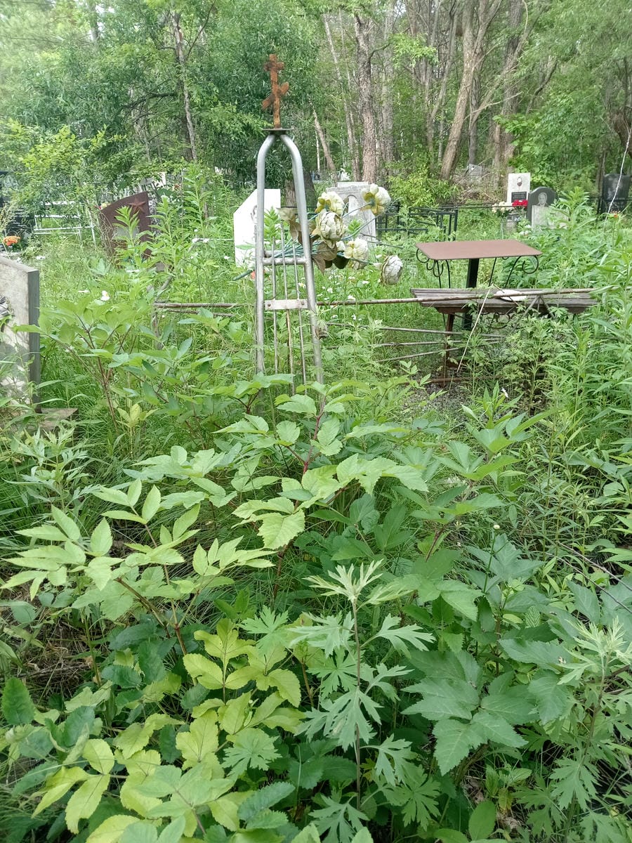 Неизвестно Неизвестно Неизвестно