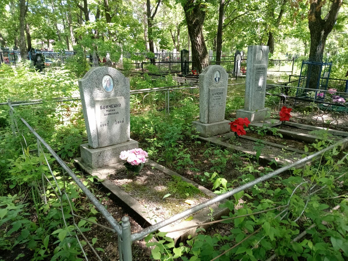 f50fe416-d9a8-4eca-b160-6a5743b1d352 Бойченко Владимир Харитонович