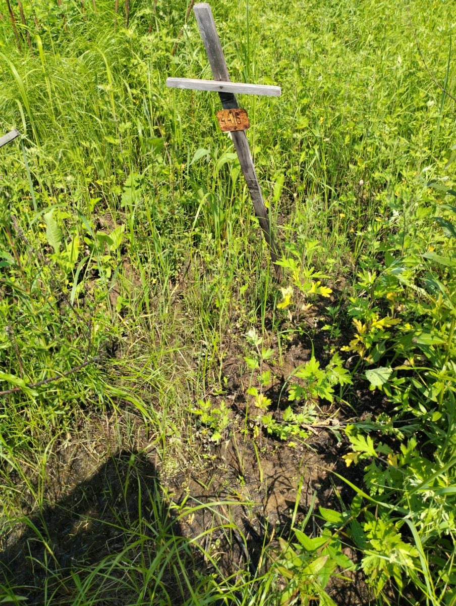 Неизвестно Неизвестно Неизвестно