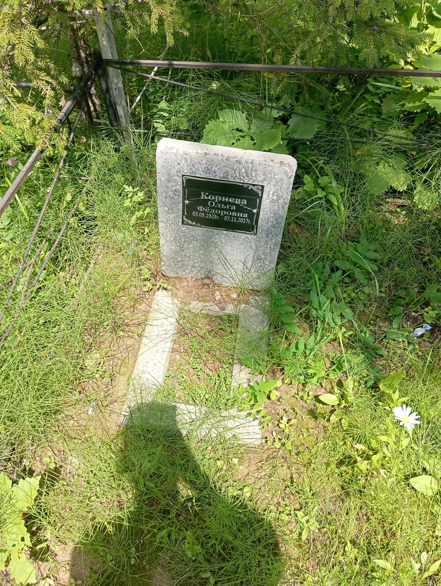 f54c1543-fb79-4e91-99d5-94bcc8c0c987 Корнева Ольга Федоровна