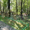 Лут Александр Тимофеевич