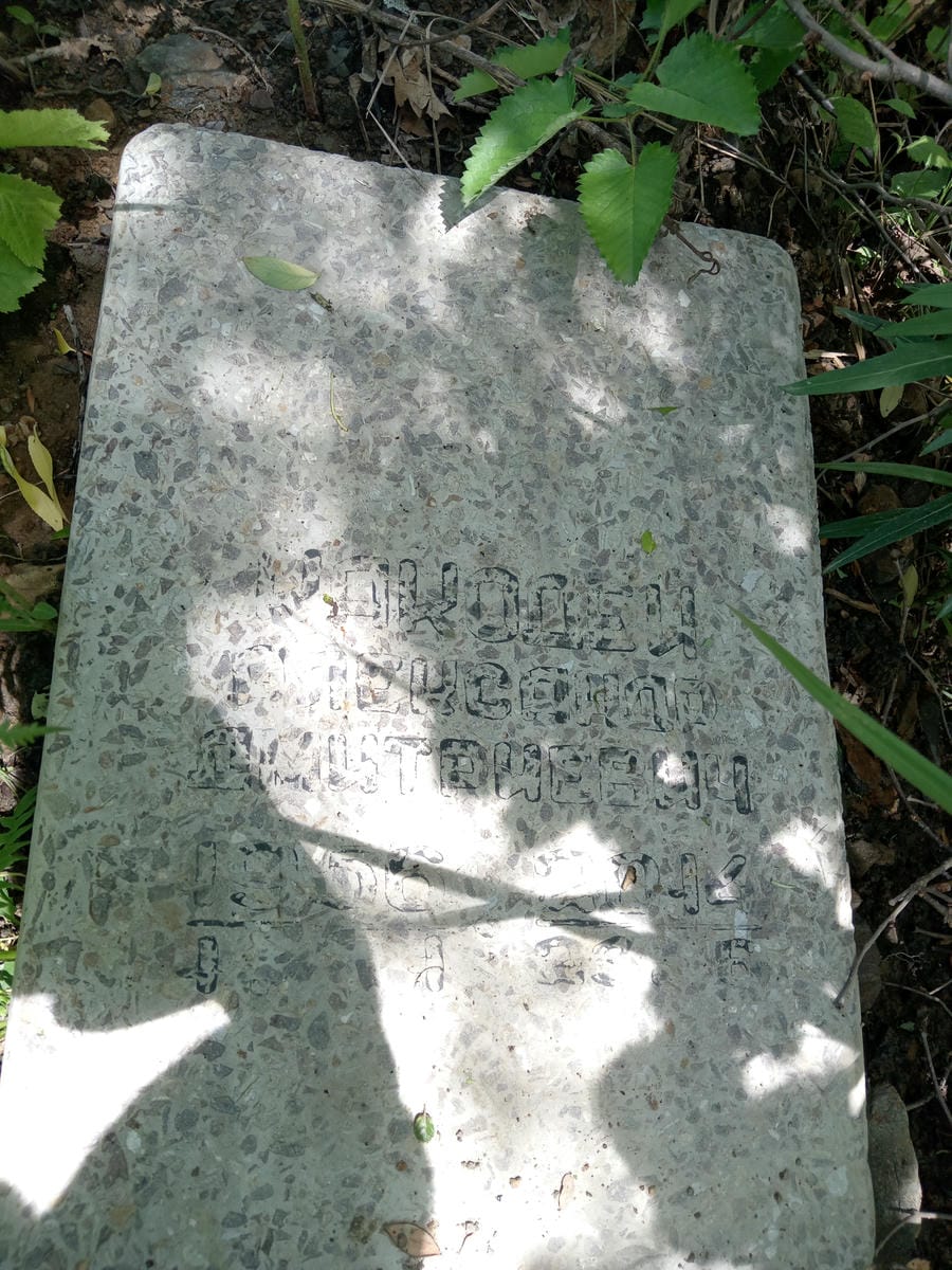 f55b64f9-1dde-4a04-aea0-58e41914847c Какодей Александр Дмитриевич