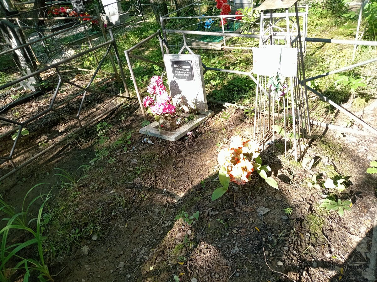 Волошина Людмила Владимировна