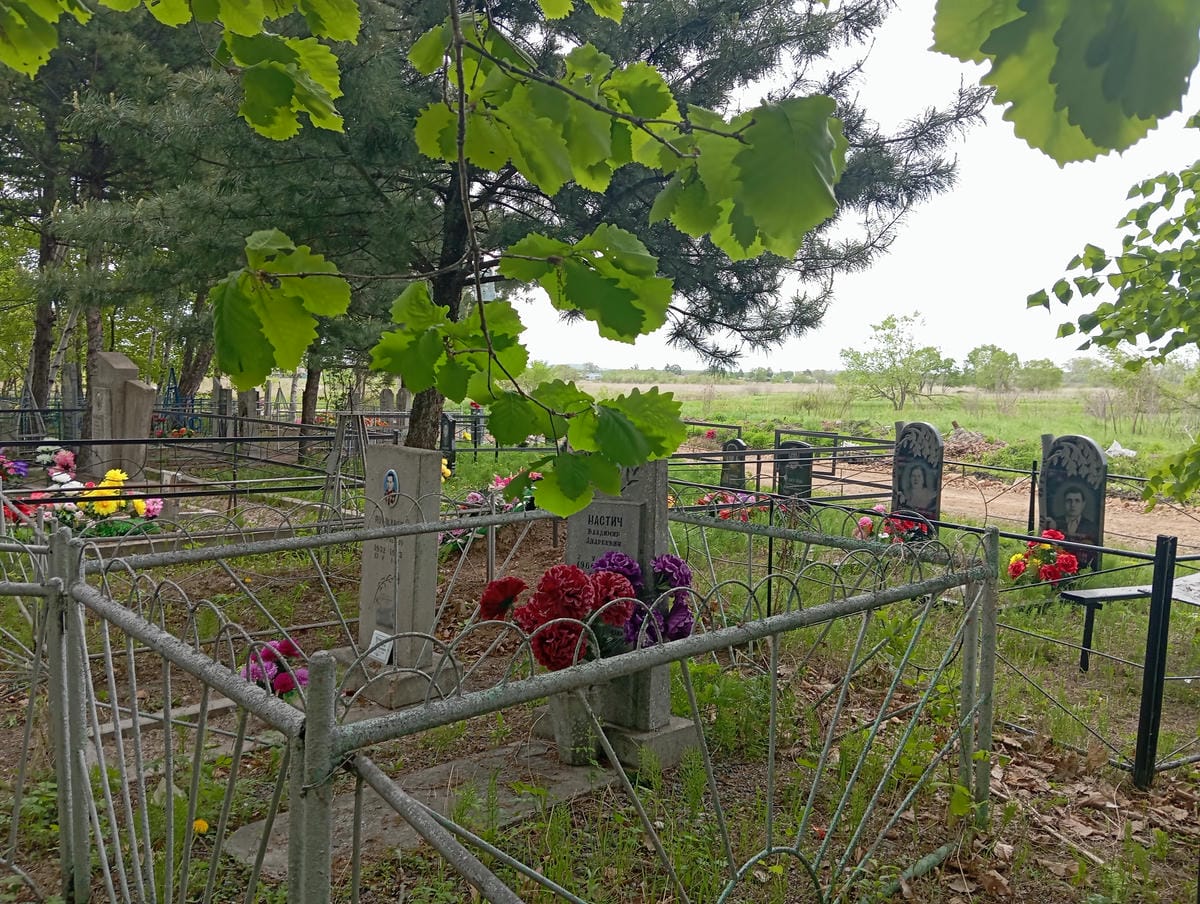 Настич Владимир Андреевич
