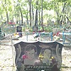 Старовит Раиса Павловна