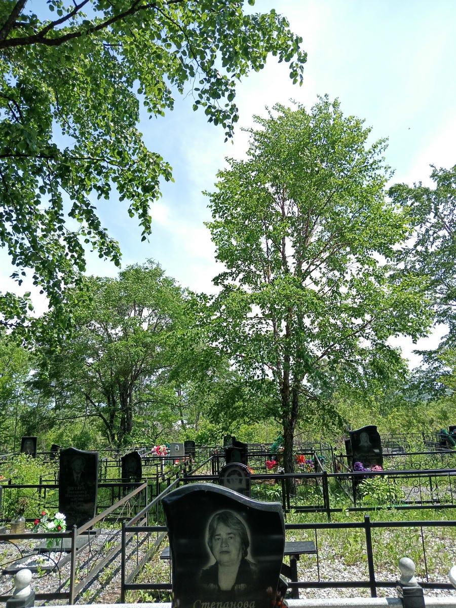 Степанова Валентина Викторовна