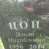 Цой Эльза Михайловна
