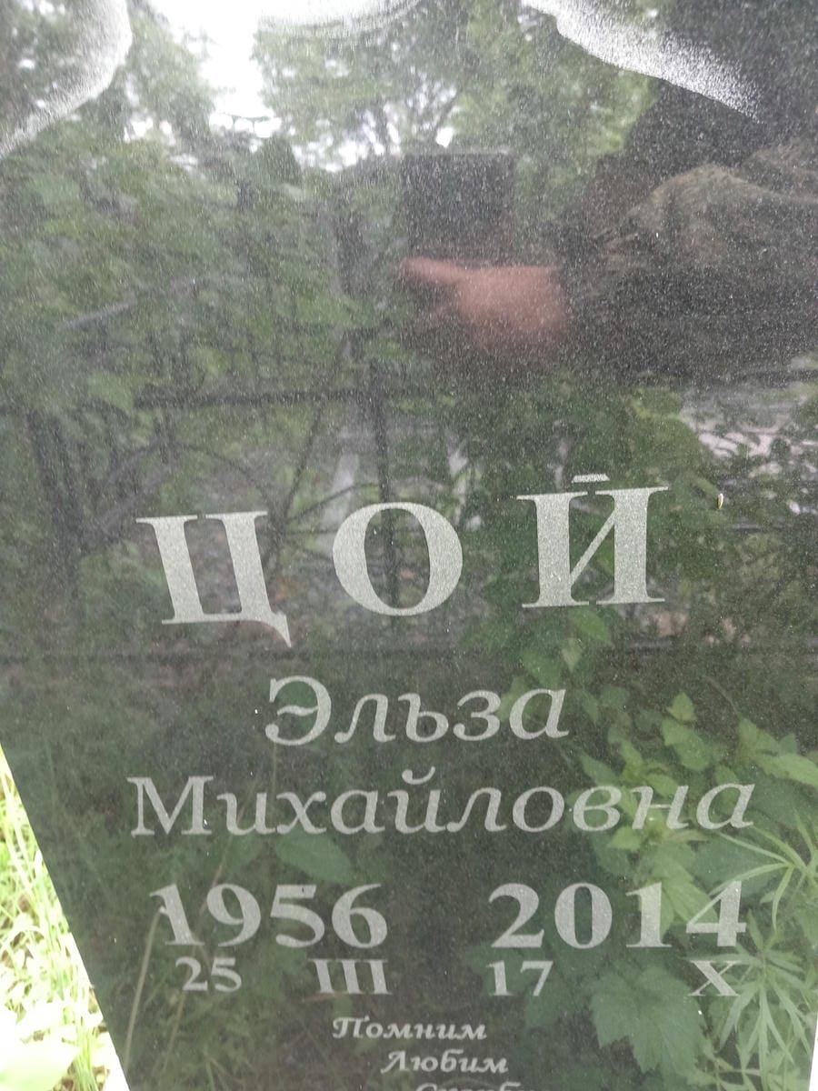 f813e3aa-13f7-4f39-9c99-6d0e212ff679 Цой Эльза Михайловна