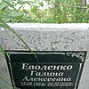 Еволенко Галина Алексеевна