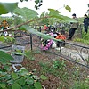 Подгорная Валентина Пимановна