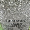 Сиволап Елена Валерьевна