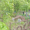 Сечка Николай Иванович