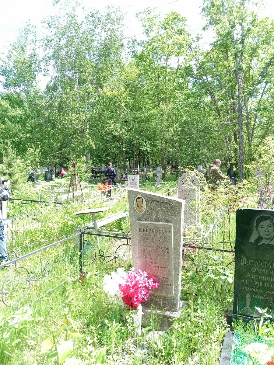 f9dd972f-330a-4948-884a-dc54c76d4946 Шестопалов Александр Петрович