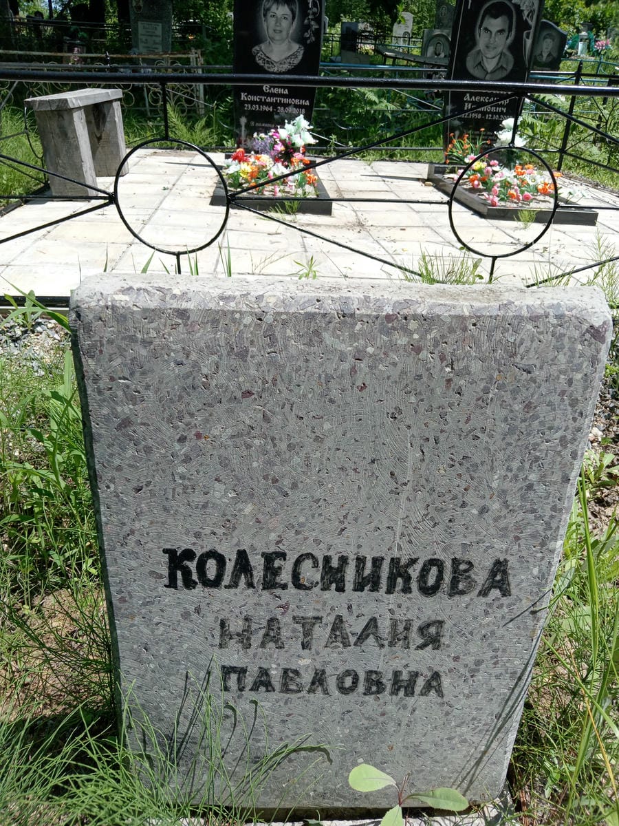 fa35a01a-aa72-46c6-8bc9-dd3ee3d0034f Колесникова Наталия Павловна