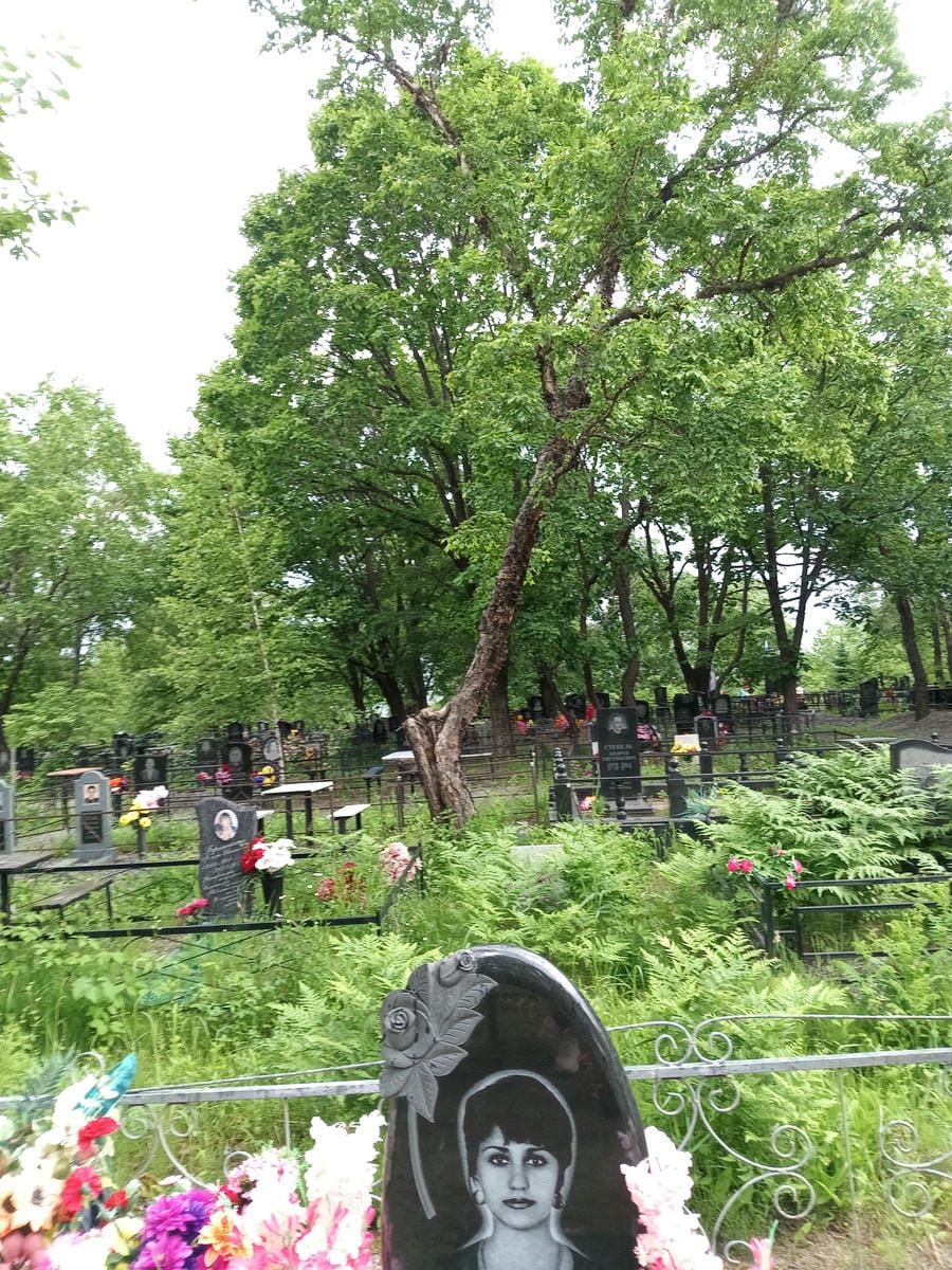 fc750e98-e582-4570-bb39-9f87dcded89a Лукина Дина Викторовна