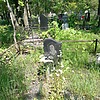 Степнова Анастасия Павловна