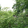 Цой Александр Неизвестно