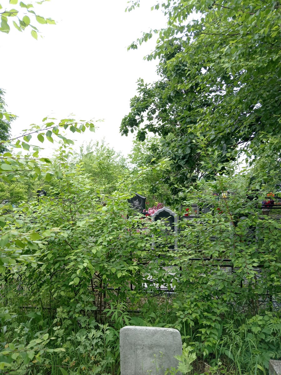 fd2e5559-b221-4d33-8095-2d2c550d5993 Цой Александр Неизвестно