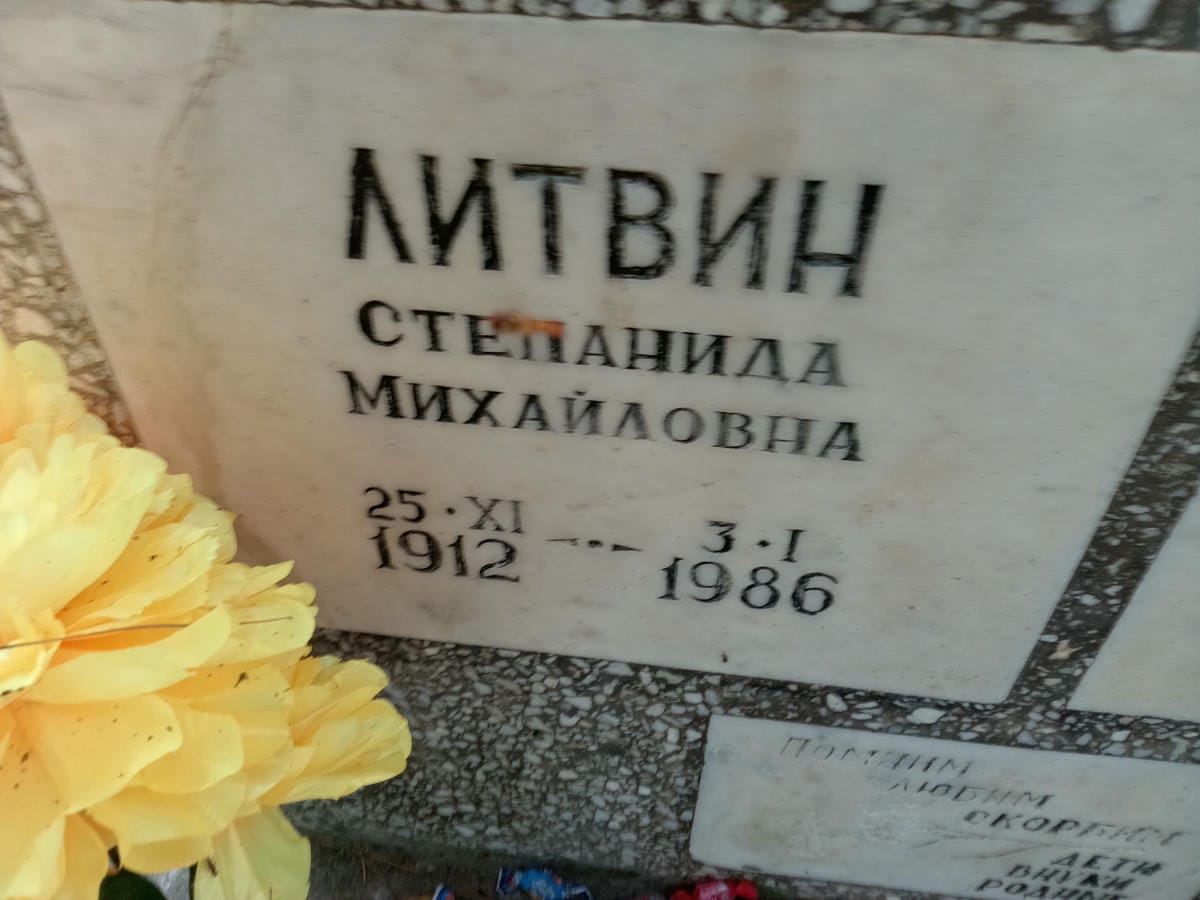 fd623cd9-6bc4-43bc-b871-315fc198fcd6 Литвин Степанида Михайловна