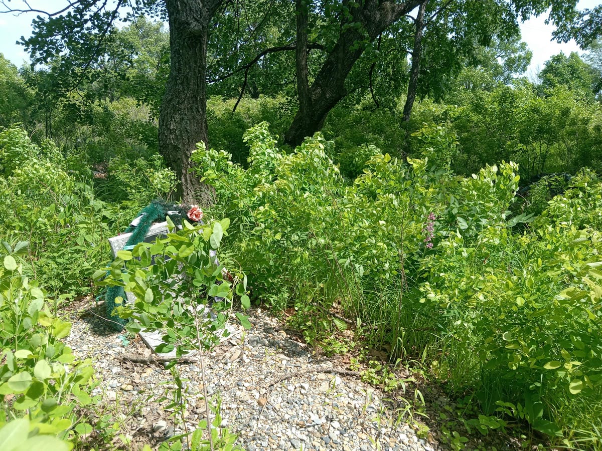 fd9e6e09-94cc-4e60-ac23-60954537f940 Корецкий Валерий Петрович