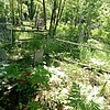 Быковская Татьяна Ивановна