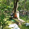 Карева Катенька Неизвестно