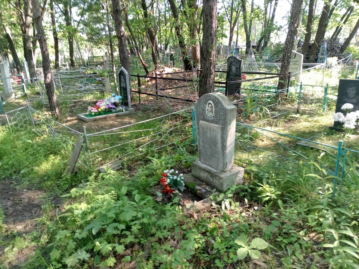 fe9be186-344e-4455-a3f4-85f01f21303e Ткаченко Александр Андреевич