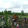 Непипа Нина Дмитриевна