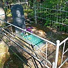 Погребечный Виталий Алексеевич