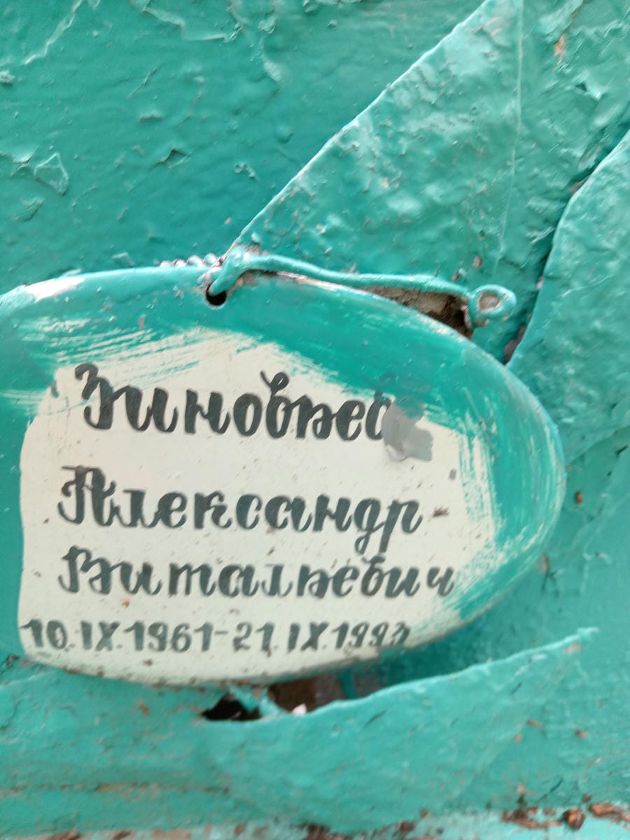 ff7d8420-3a72-4329-9f2f-da163239af9d Зиновьев Александр Витальевич