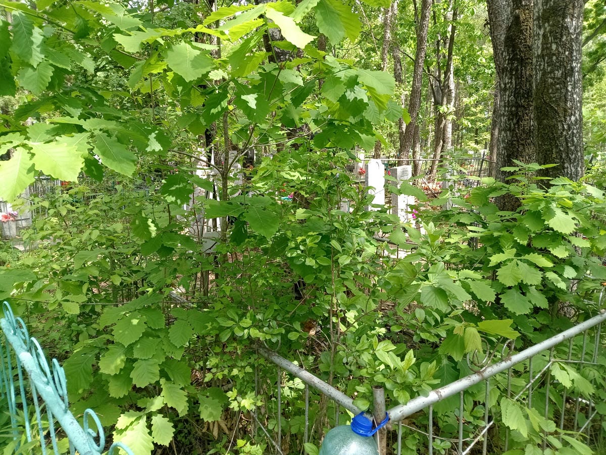 ff90d6aa-ac81-4bf1-8837-d7a7f9938f9c Федюкова Александра Ивановна