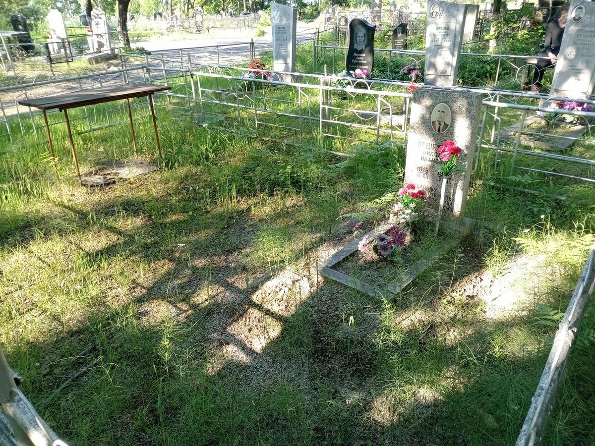 ff9ebcdc-4740-4711-aa18-479d710f3626 Пешехонов Николай Иванович