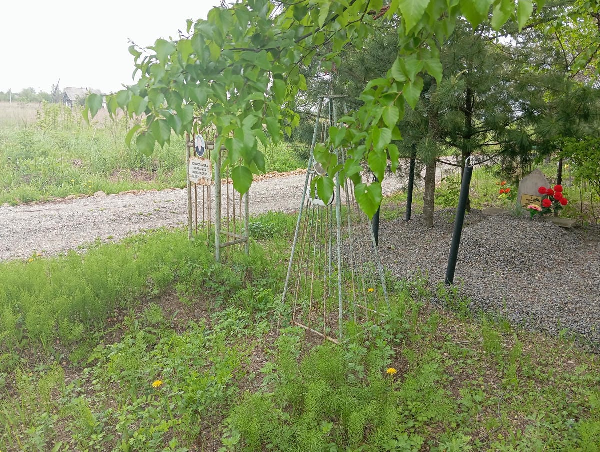 ffb31ce8-1d6e-4842-9cff-c8beaf29fe00 Масалова Лариса Борисовна