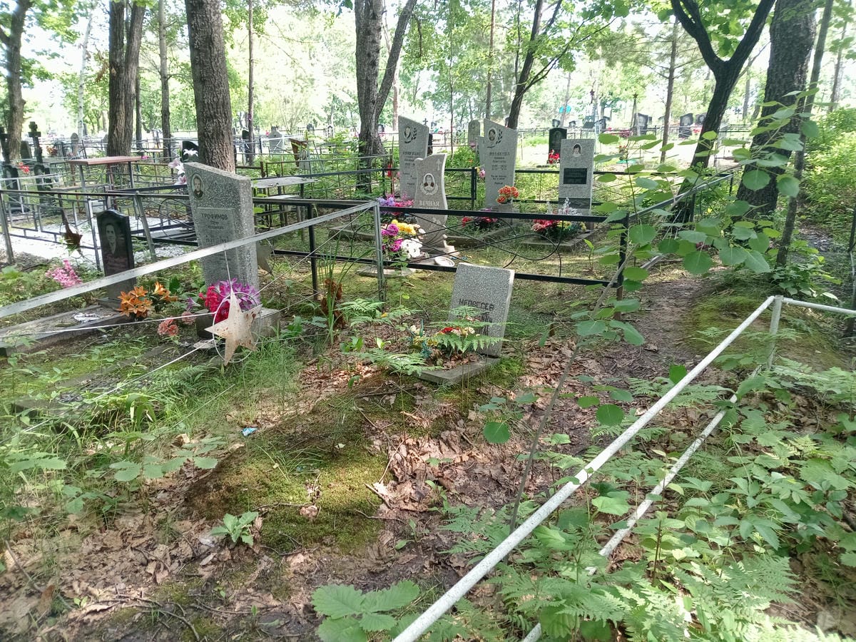 ffcd79ab-9333-44b9-9571-961000b91a8c Медведев Владимир Николаевич