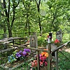 Шумский Николай Илларионович
