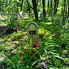 Рычик Агга Акимовна