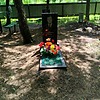 Доленко Тихон Тихонович